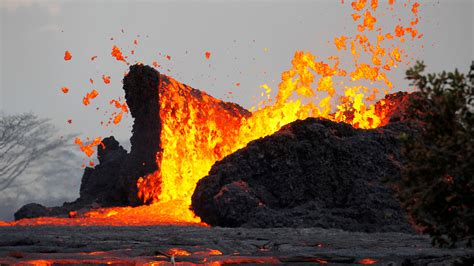 Urgent Warning: Everything You Need To Know About Anonib Hawaii NOW Image 5