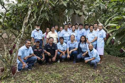 Iniciativa Plan Cacao De Nestlé Revista Industrias