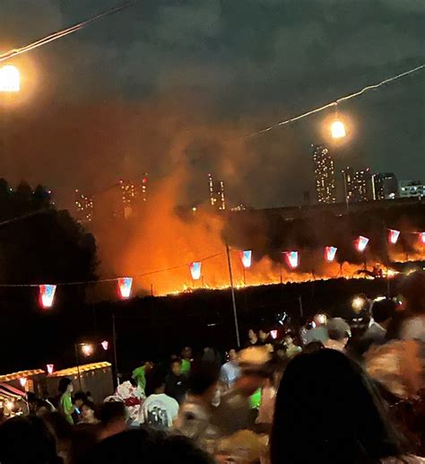 東京・いたばし花火大会で火災、大会中止 目玉花火が草に延焼か 写真特集24 毎日新聞