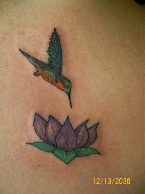 Hummingbird And Lotus Flower Hummingbird Flower Tattoos Lotus Flower