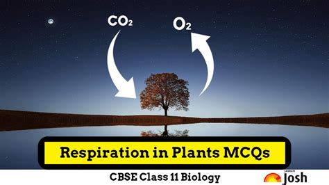 Respiration In Plants Class 11 MCQs CBSE Biology Chapter 12 Multiple