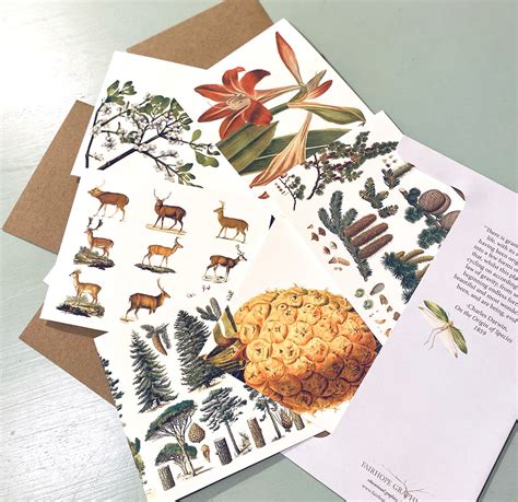 Natural History Card Packs — Fairhope Graphics Evolutionary Trees