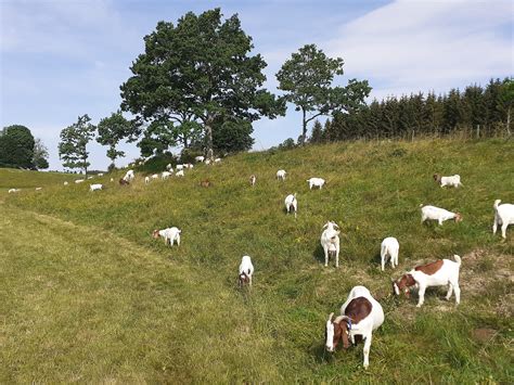 Inspirationen DVL Ideenwettbewerb Bioökonomie in Mittelgebirgen