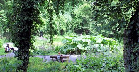 Alter Botanischer Garten Old Botanical Garden Göttingen