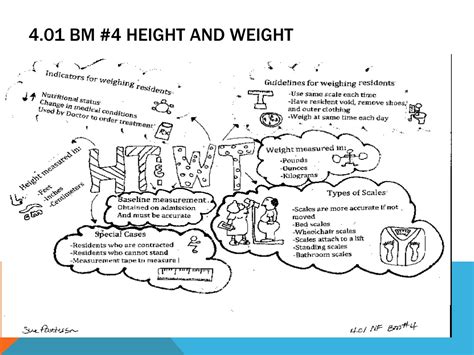 Ppt Measuring Height And Weight Powerpoint Presentation Free Download Id 9453027