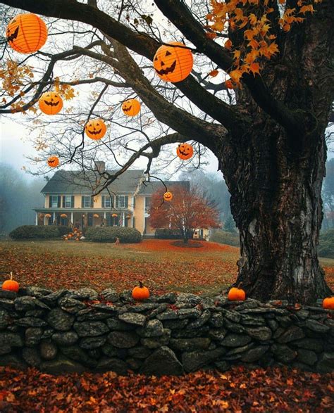 Pin By Teresa Clark On All Hallows Eve Fall Halloween Decor Fall