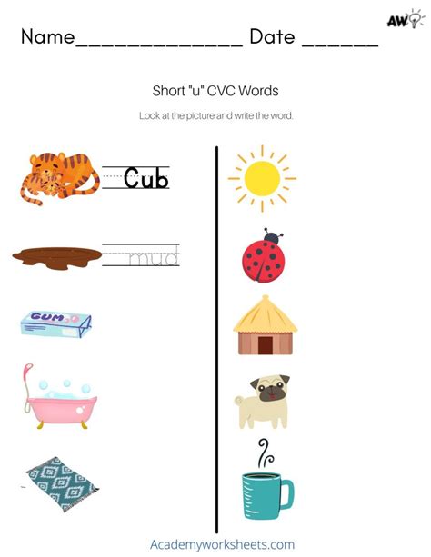 Short u Phonics Worksheets CVC Words - Academy Worksheets