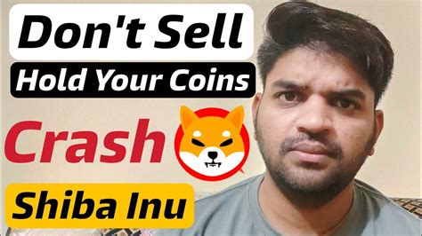 Crash Don T Sell Shiba Inu Coin Hold Shiba Inu Coin Latest News