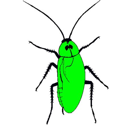 Dibujo de Cucaracha grande pintado por Poiltyes en Dibujos net el día