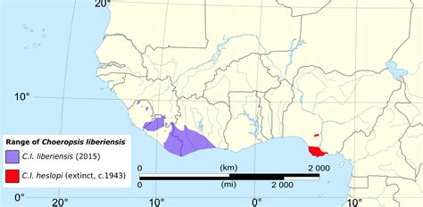 파일 Pygmy hippopotamus range updated svg Wikiwand