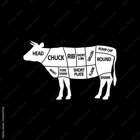 Cut Of Beef Set Poster Butcher Diagram Cow Vintage Typographic Hand Drawn Vector