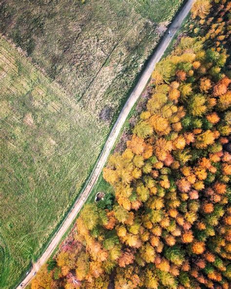 Rozstrzygnęliśmy konkurs fotograficzny Złota jesień 2023