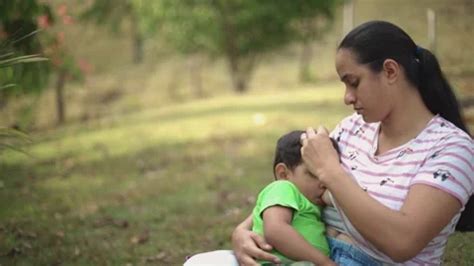 The Beauty Of Breastfeeding Latina Moth Stock Video Pond5