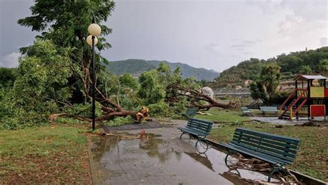 Cogorno Parco Distrutto E Case Scoperchiate Dal Downburst Venti