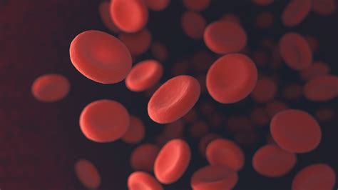 Fda Approves Expansion For Bms Reblozyl As First Line Anemia Treatment