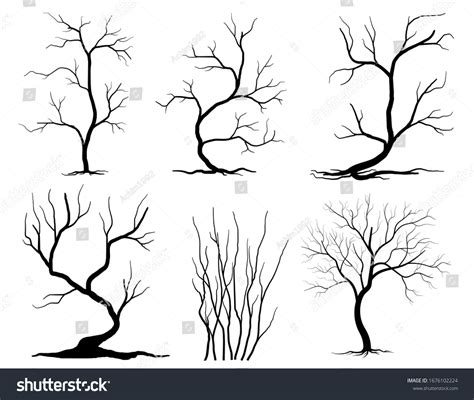 Black Branch Tree Naked Trees Silhouettes Stock Vector Royalty Free