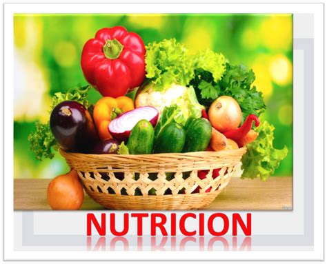 Beneficios De Una Buena Nutricion