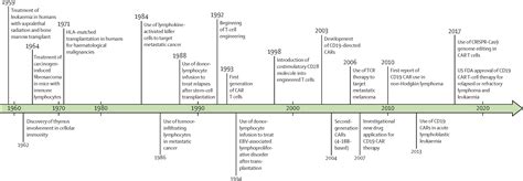 Immunotherapy Car T Cell Therapy Hot Sex Picture