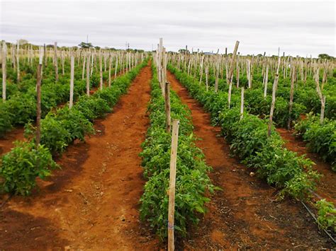 One “i Am A Farmer By Accident But I Am Loving It” Meet The New