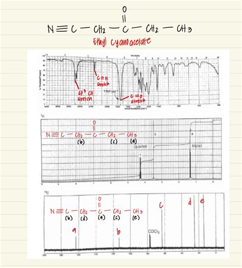 Solved The Ir H Nmr And C Nmr Spectra Of Compound P Are Shown Course Hero