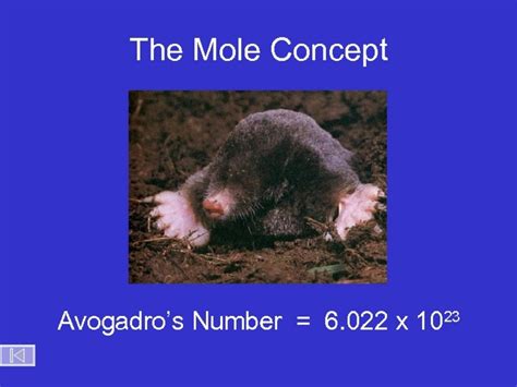 The Mole Concept Ppt For 8th 12th Grade Lesson Planet