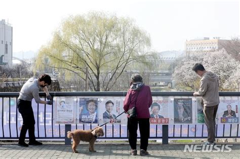 4·7재보선 서울시장 선거 벽보 첩부 네이트 뉴스