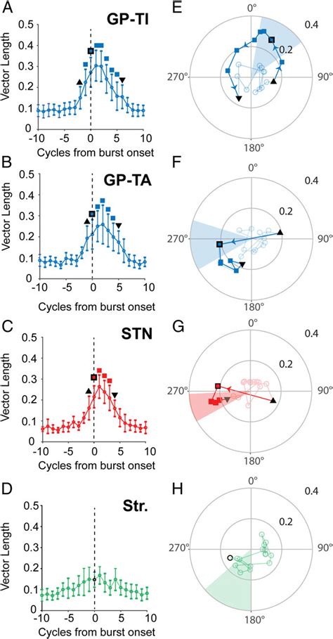 Temporal Evolution Of Cortical And Basal Ganglia Phase Locking