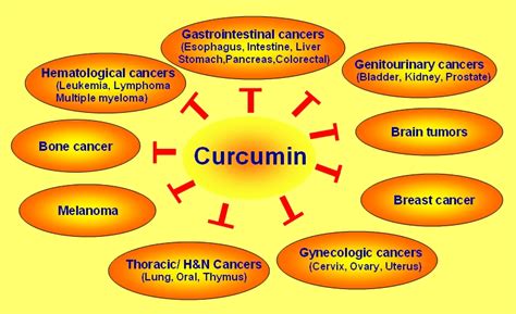 Curcumin L G Tinh B T Ngh Nguy N Ch T H Ng Lam