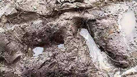 Slave Gay Porn Creator Videos Free Amateur Nudes Xhamster