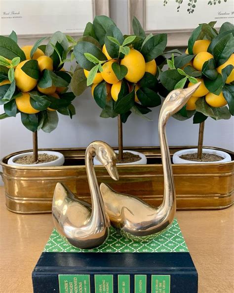 859 Nested On Instagram Beautiful Set Of Solid Brass Swans The