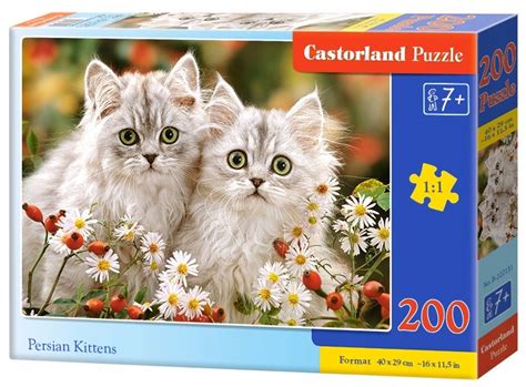 Puzzle S Odkie Kotki Koty Castorland Oficjalne