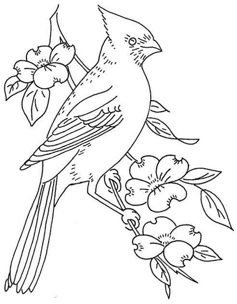 Northern Cardinal Bird Coloring Page