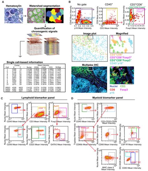 Quantitative Multiplex Immunohistochemistry Reveals Myeloid Inflamed