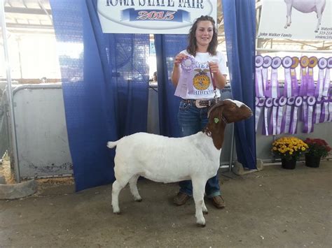 Sae Projects Agri Power Ffa Chapter