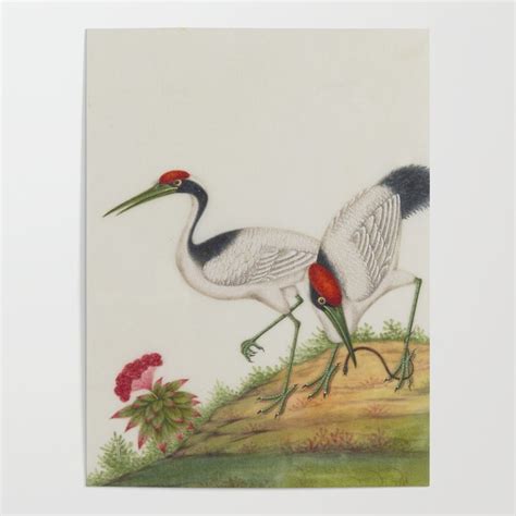 Chinese Red Crowned Crane Poster By Sc Art Society6