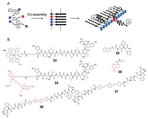 Light Harvesting Peptide Supramolecular Co Assemblies A Schematic