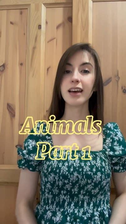 Animals Part 1 🐶🐱🐭🐰🦊🐻🐯🦁🐮🐵 Animals Animalsinenglish Learnenglish