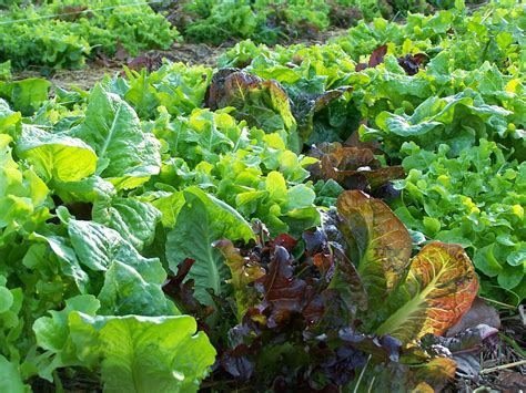 This guide explains how to read the cal state fullerton academic calendar 27