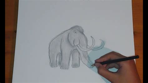 Como Dibujar Un Mamut How To Draw A Mammoth Youtube