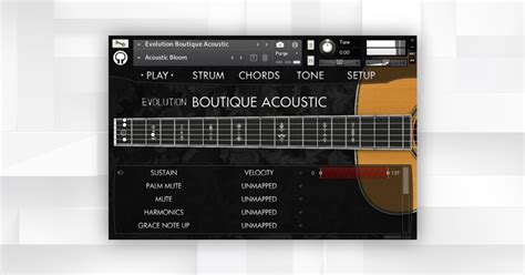 News Orange Tree Samples Releases Evolution Boutique Acoustic Guitar