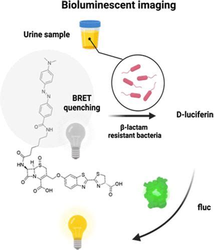 用于快速、超灵敏检测 β 内酰胺耐药细菌的生物发光探针analytical Chemistry X Mol