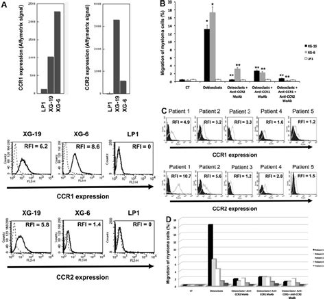 Gene And Protein Expression Of Ccr1 And Ccr2 Chemokine Receptors A