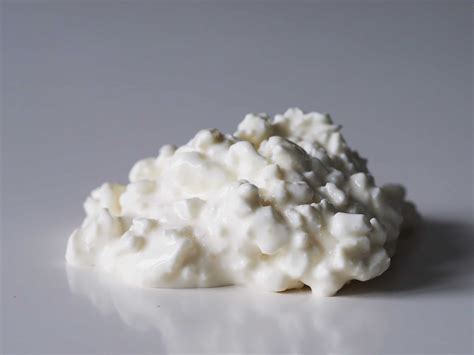 What Is Cottage Cheese Made Of Unveiling Its Ingredients