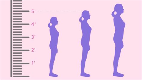 height    shefinds