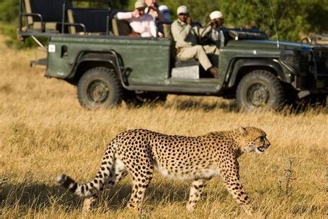 Hluhluwe Imfolozi Game Reserve 3 Daagse Safari Vanuit Durban Aangeboden