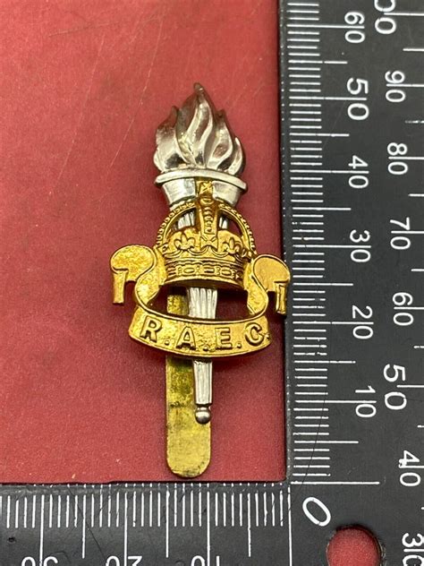 Ww1 Ww2 British Army Royal Army Education Corps Wm And Brass Cap Badge The Militaria Shop