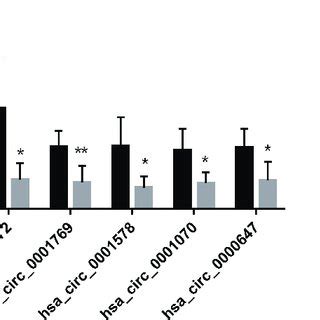 Validation Of The Differentially Expressed CircRNAs By QRT PCR Five