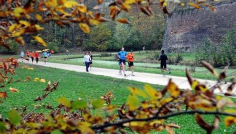 Où vivre à Lille Quartier Vauban entre verdure et universités