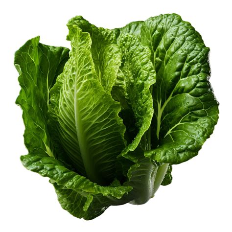 Ai Generated Lettuce Leaves Png Isolated On Transparent Background