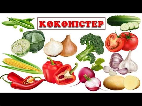 КӨКӨНІСТЕР/Қазақша көкөністер аттары/Овощи на казахском языке - YouTube